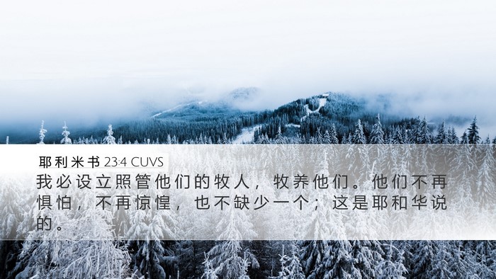 耶 利 米 书 23:4 CUVS Bible Verse Image