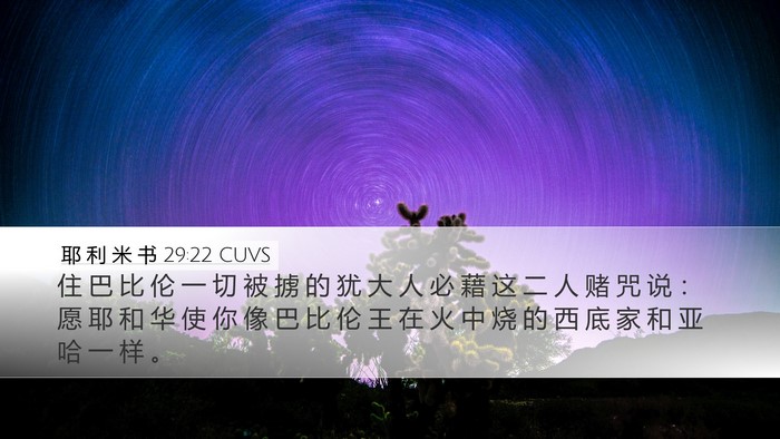 耶 利 米 书 29:22 CUVS Bible Verse Image