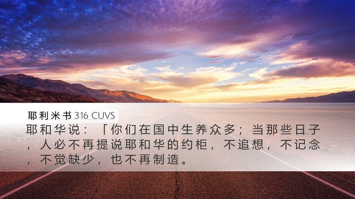耶 利 米 书 3:16 CUVS Bible Verse Image