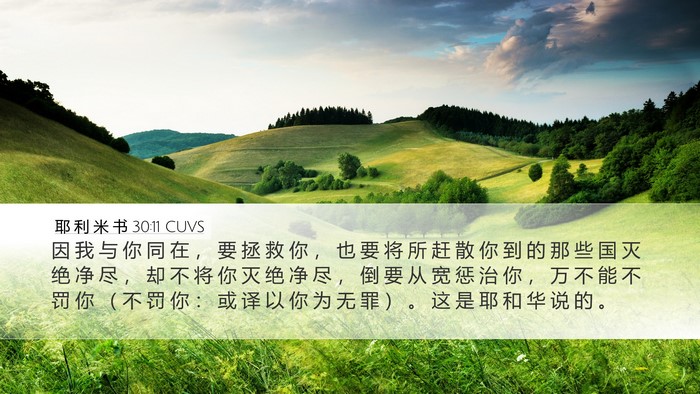 耶 利 米 书 30:11 CUVS Bible Verse Image