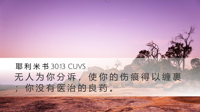 耶 利 米 书 30:13 CUVS Bible Verse Image