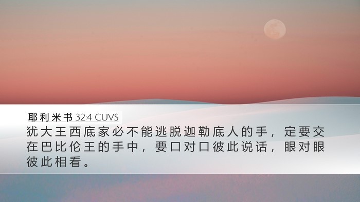 耶 利 米 书 32:4 CUVS Bible Verse Image