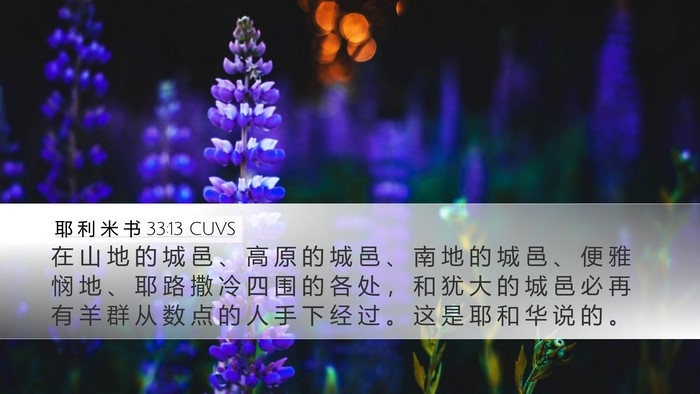 耶 利 米 书 33:13 CUVS Bible Verse Image