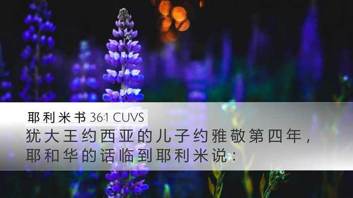耶 利 米 书 36:1 CUVS Bible Verse Image