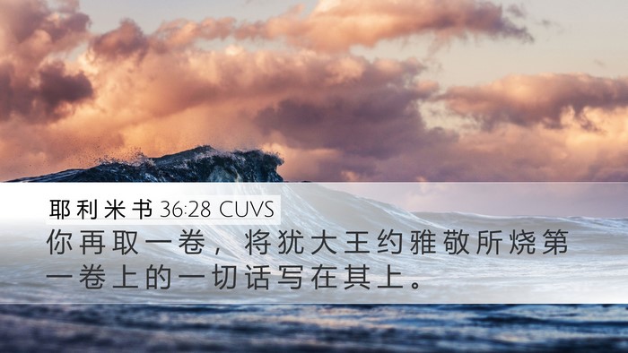 耶 利 米 书 36:28 CUVS Bible Verse Image