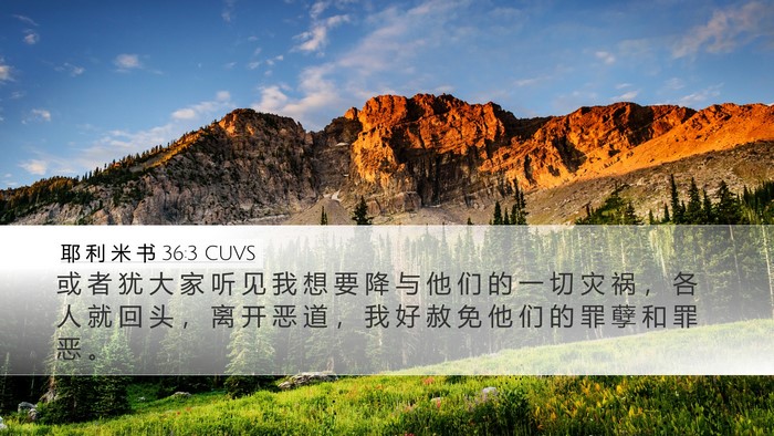 耶 利 米 书 36:3 CUVS Bible Verse Image