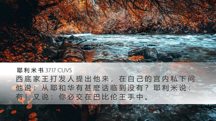 耶 利 米 书 37:17 CUVS Bible Verse Image