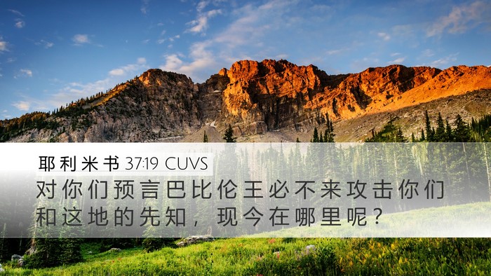 耶 利 米 书 37:19 CUVS Bible Verse Image