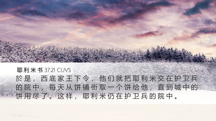 耶 利 米 书 37:21 CUVS Bible Verse Image