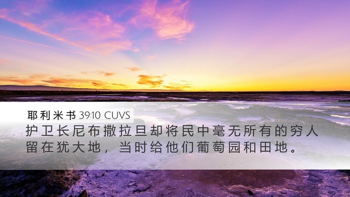耶 利 米 书 39:10 CUVS Bible Verse Image