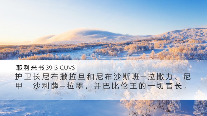 耶 利 米 书 39:13 CUVS Bible Verse Image