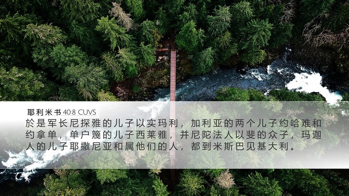 耶 利 米 书 40:8 CUVS Bible Verse Image