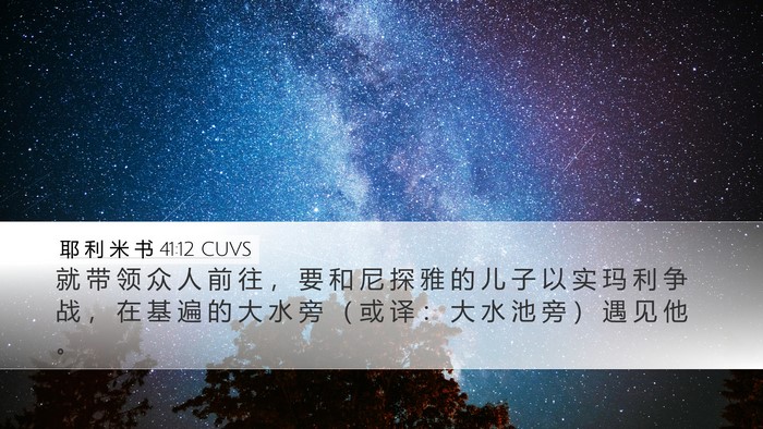 耶 利 米 书 41:12 CUVS Bible Verse Image