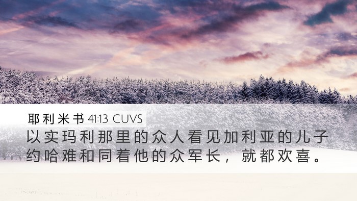 耶 利 米 书 41:13 CUVS Desktop Wallpaper - 以 实 玛 利 那 里 的 众 人 看 见 加 - Desktop Bible Verse Wallpaper