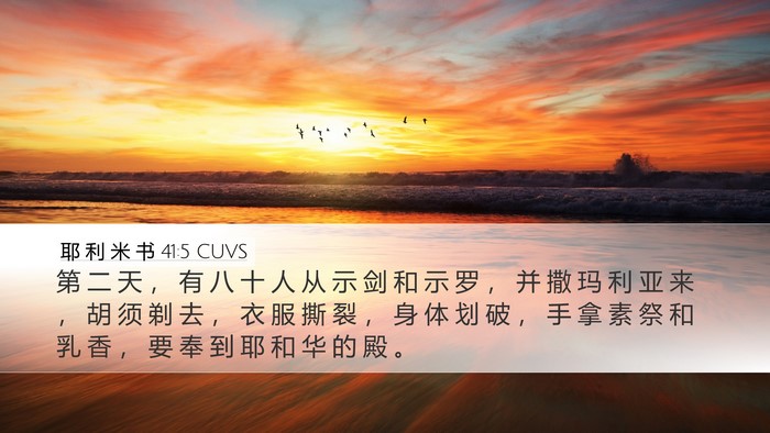 耶 利 米 书 41:5 CUVS Bible Verse Image