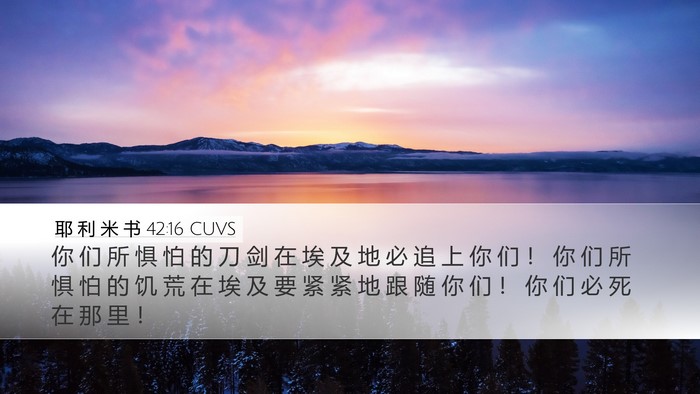 耶 利 米 书 42:16 CUVS Bible Verse Image