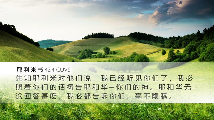 耶 利 米 书 42:4 CUVS Bible Verse Image