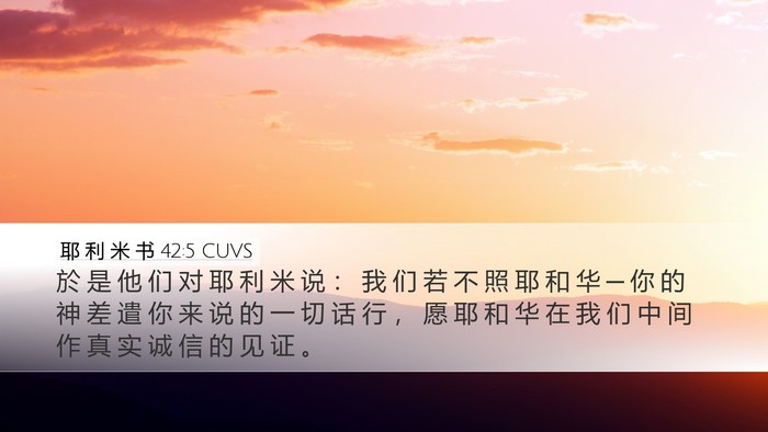 耶 利 米 书 42:5 CUVS Desktop Wallpaper - 於 是 他 们 对 耶 利 米 说 ： 我 们 - Desktop Bible Verse Wallpaper