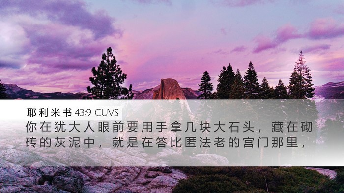 耶 利 米 书 43:9 CUVS Desktop Wallpaper - 你 在 犹 大 人 眼 前 要 用 手 拿 几 - Desktop Bible Verse Wallpaper