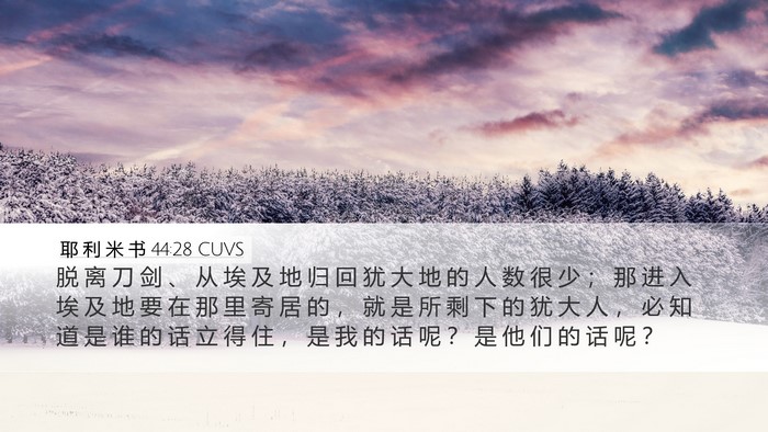 耶 利 米 书 44:28 CUVS Bible Verse Image