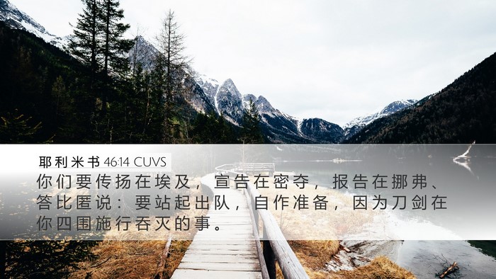 耶 利 米 书 46:14 CUVS Bible Verse Image