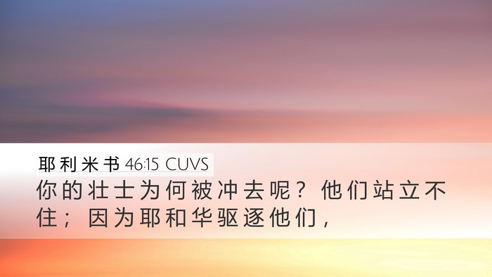 耶 利 米 书 46:15 CUVS Bible Verse Image