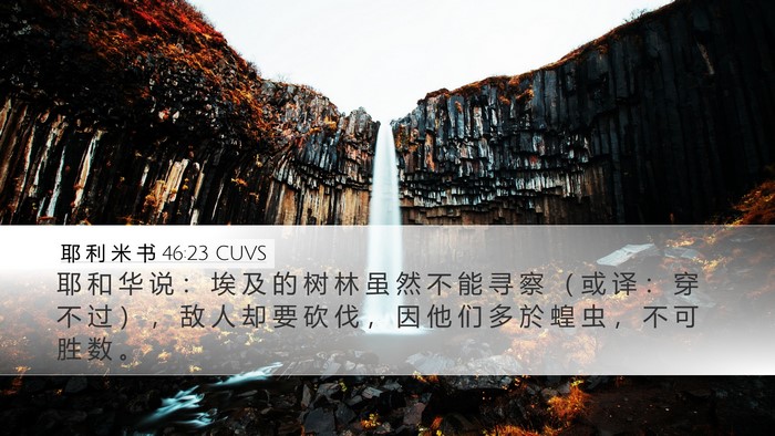 耶 利 米 书 46:23 CUVS Bible Verse Image