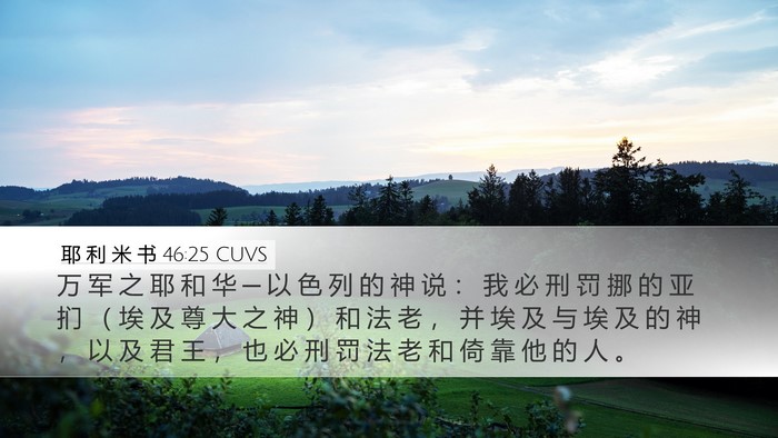 耶 利 米 书 46:25 CUVS Bible Verse Image