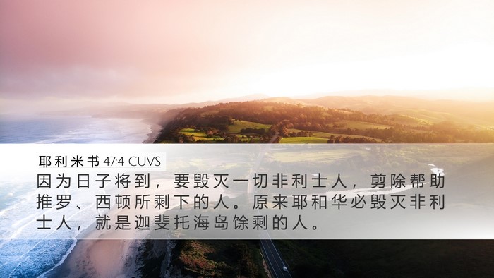 耶 利 米 书 47:4 CUVS Bible Verse Image