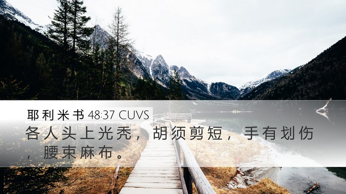 耶 利 米 书 48:37 CUVS Bible Verse Image