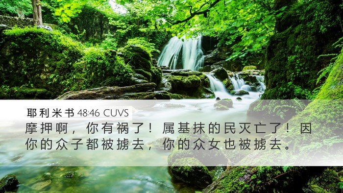 耶 利 米 书 48:46 CUVS Bible Verse Image