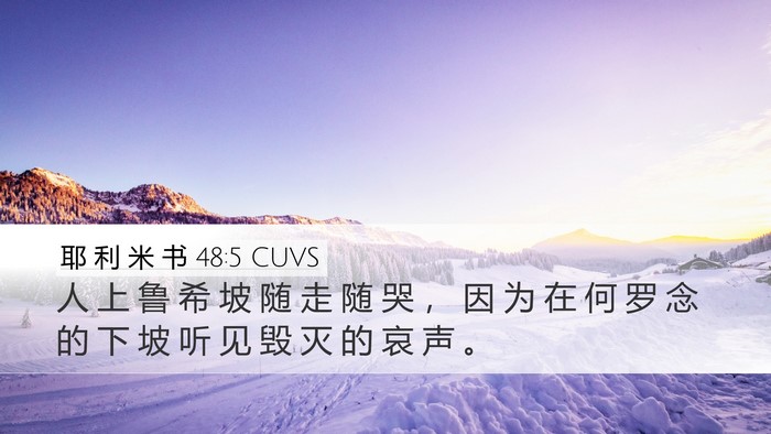 耶 利 米 书 48:5 CUVS Bible Verse Image