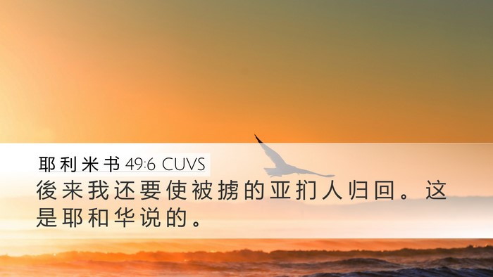 耶 利 米 书 49:6 CUVS Bible Verse Image