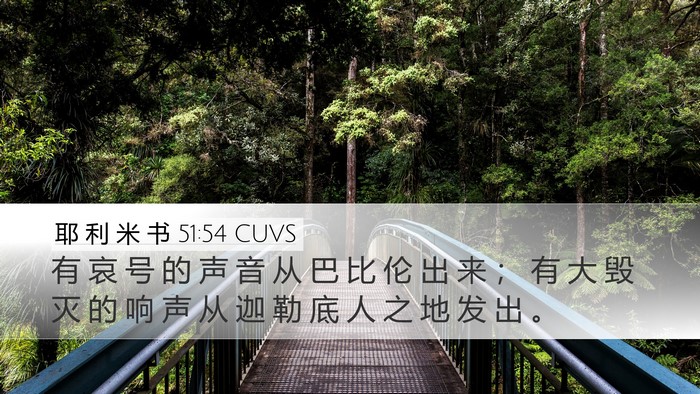 耶 利 米 书 51:54 CUVS Bible Verse Image