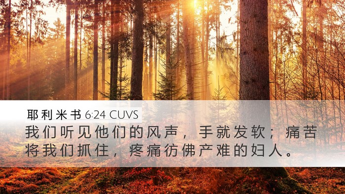 耶 利 米 书 6:24 CUVS Bible Verse Image