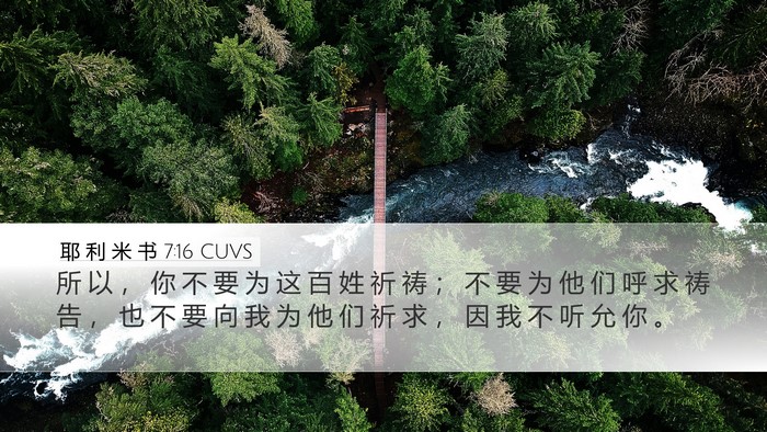 耶 利 米 书 7:16 CUVS Bible Verse Image