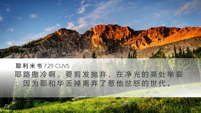 耶 利 米 书 7:29 CUVS Bible Verse Image