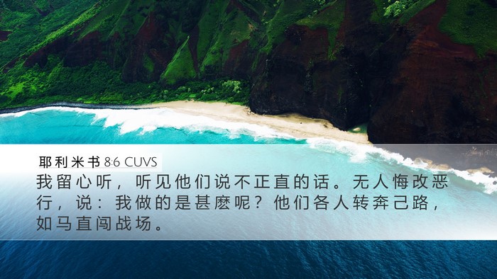 耶 利 米 书 8:6 CUVS Bible Verse Image