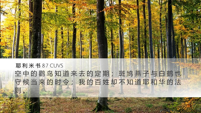 耶 利 米 书 8:7 CUVS Bible Verse Image