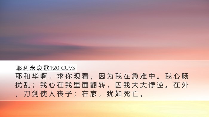 耶 利 米 哀 歌 1:20 CUVS Bible Verse Image