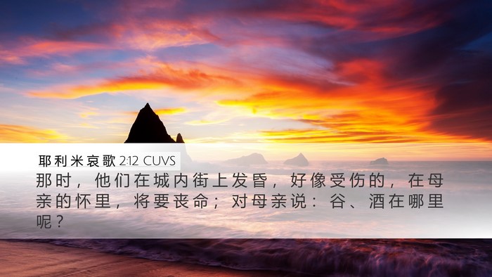 耶 利 米 哀 歌 2:12 CUVS Bible Verse Image