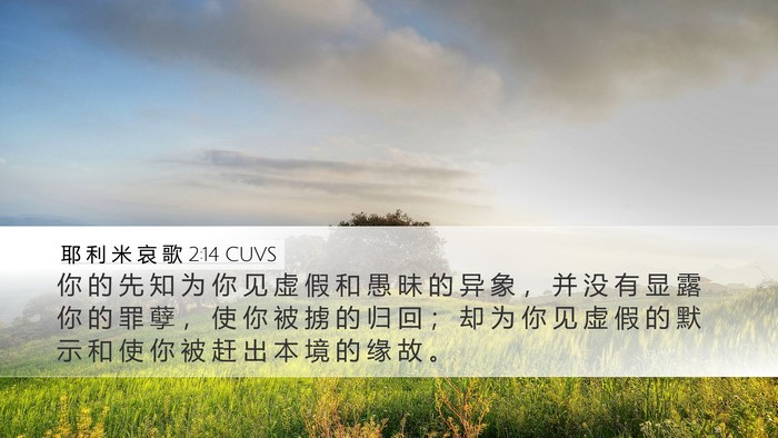 耶 利 米 哀 歌 2:14 CUVS Bible Verse Image