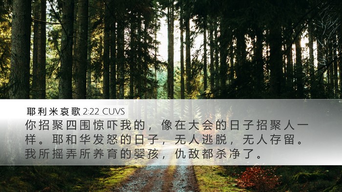 耶 利 米 哀 歌 2:22 CUVS Bible Verse Image