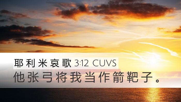 耶 利 米 哀 歌 3:12 CUVS Bible Verse Image