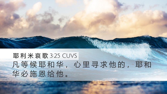 耶 利 米 哀 歌 3:25 CUVS Bible Verse Image
