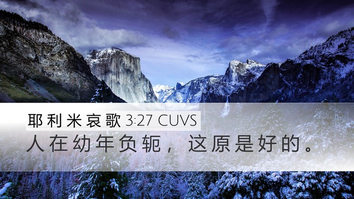 耶 利 米 哀 歌 3:27 CUVS Bible Verse Image