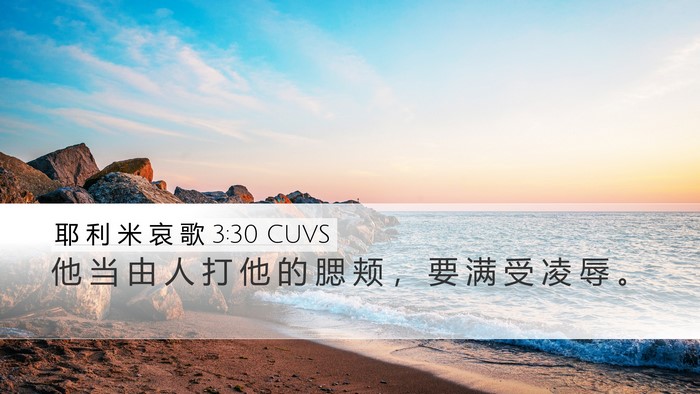 耶 利 米 哀 歌 3:30 CUVS Bible Verse Image