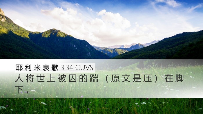 耶 利 米 哀 歌 3:34 CUVS Bible Verse Image