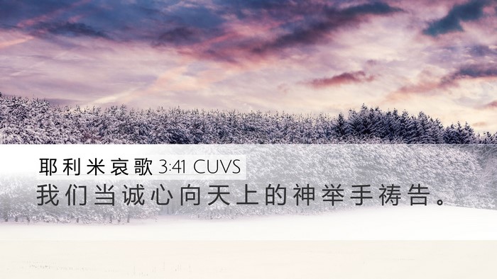 耶 利 米 哀 歌 3:41 CUVS Bible Verse Image