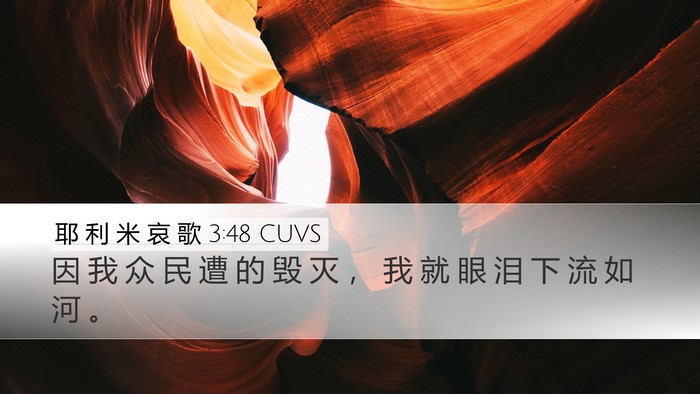 耶 利 米 哀 歌 3:48 CUVS Bible Verse Image